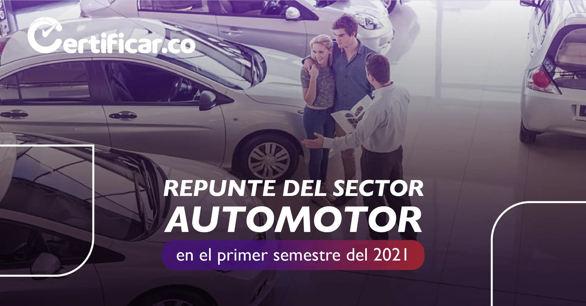 Repunte del Sector Automotor